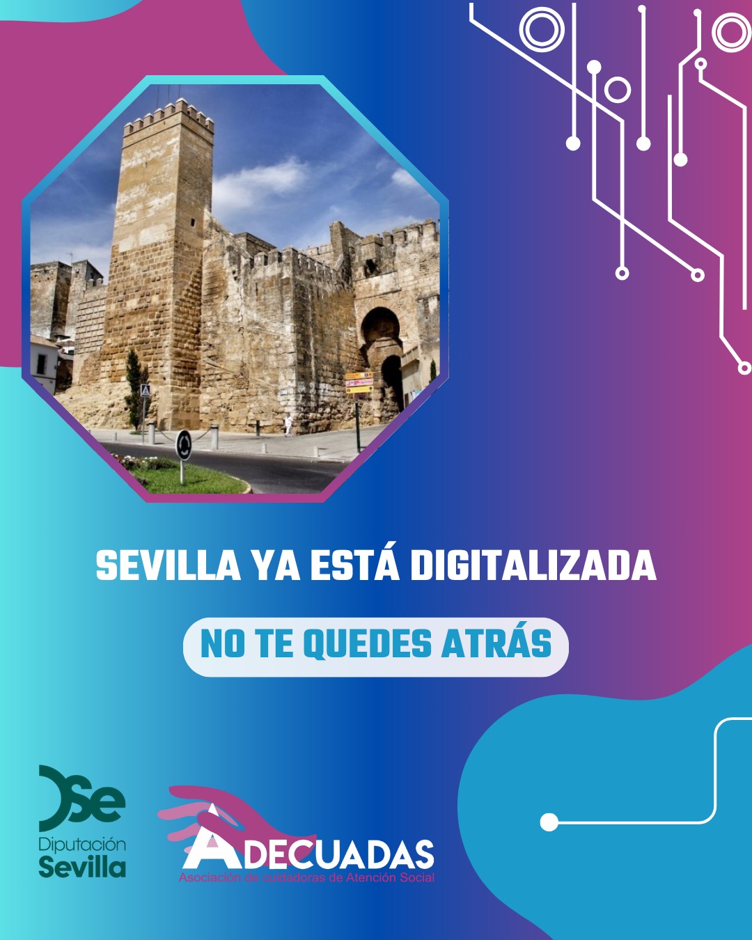 WhatsApp Image 2025-08-06 at 12.08.04 (1)